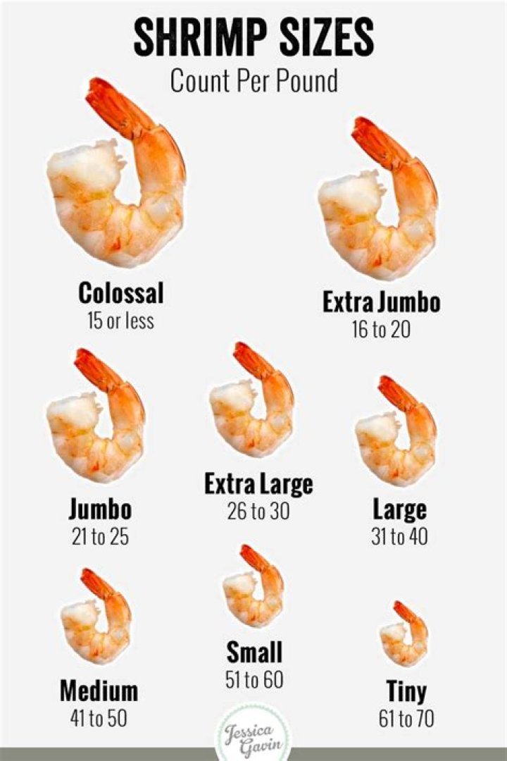 jumbo shrimp size