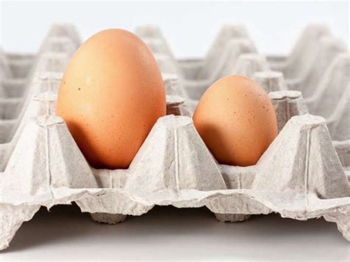 large egg