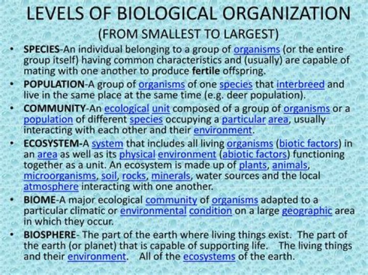 levels of biological organization from smallest to largest