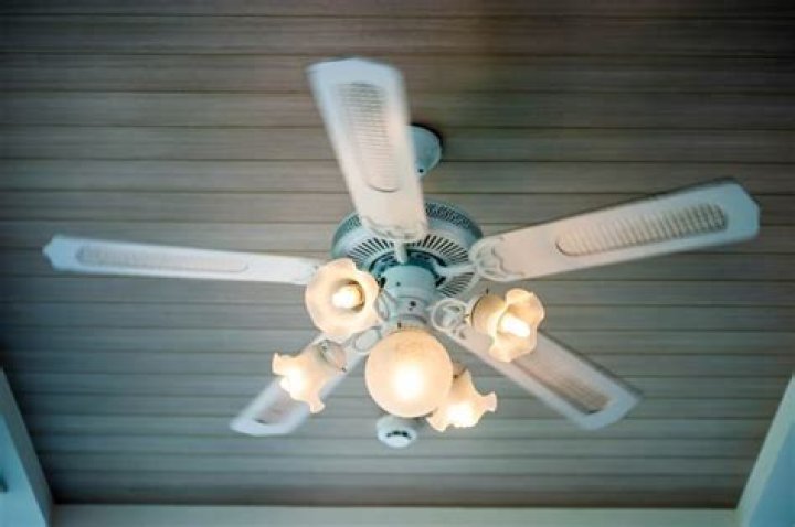 light bulbs for ceiling fans