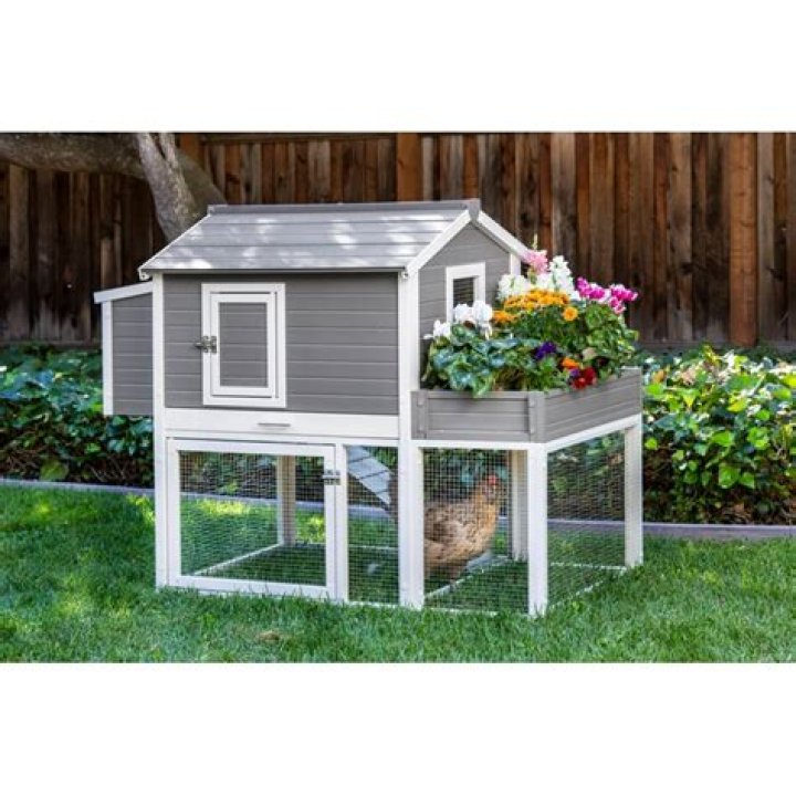 lowes chicken coop