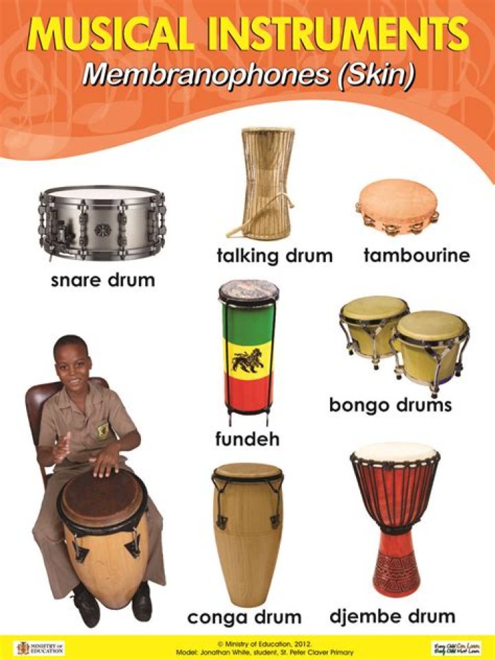 membranophone instruments