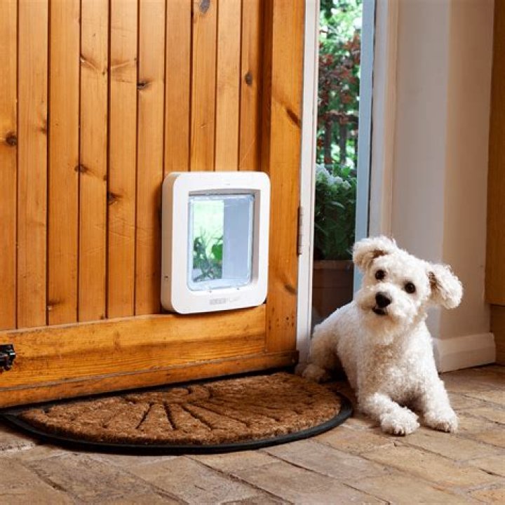 microchip dog door