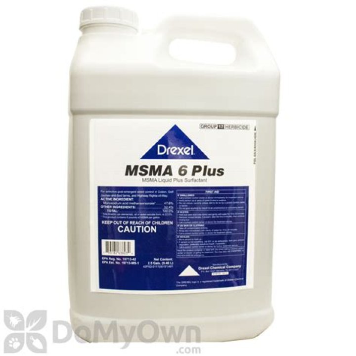 msma 6 plus