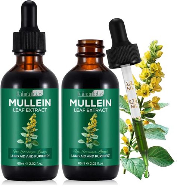 mullein extract for lungs