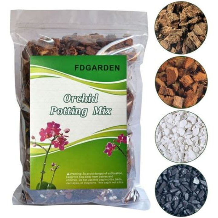 orchid mix soil