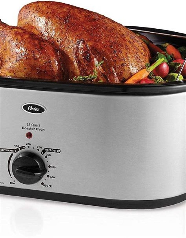 oster roaster