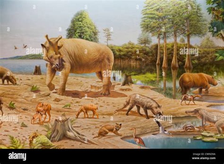 paleogene period