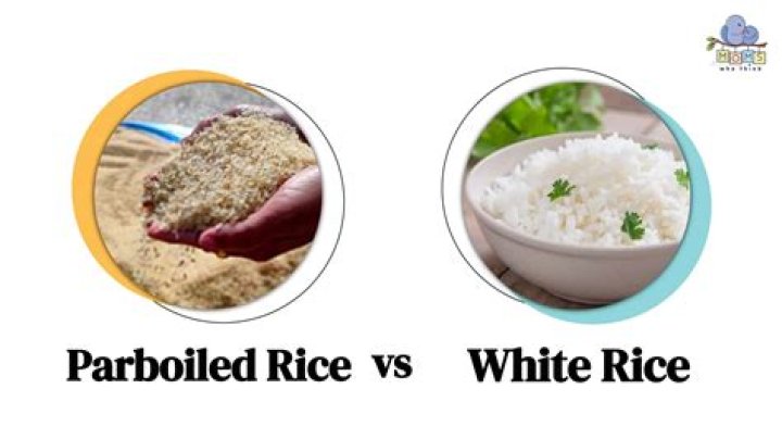 parboiled meaning