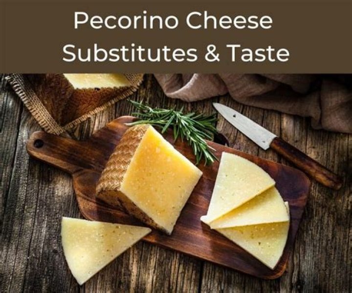 pecorino cheese substitute