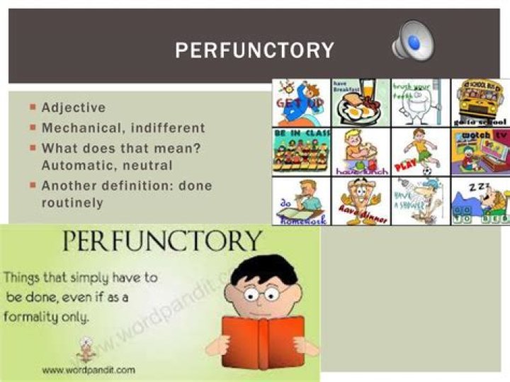 perfunctory in a sentence