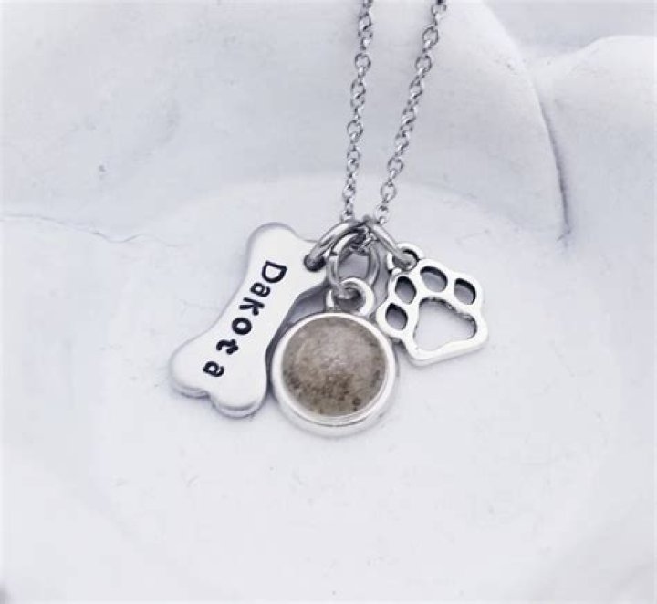 pet ashes