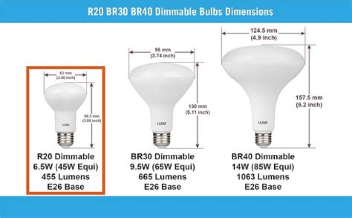 r20 bulb