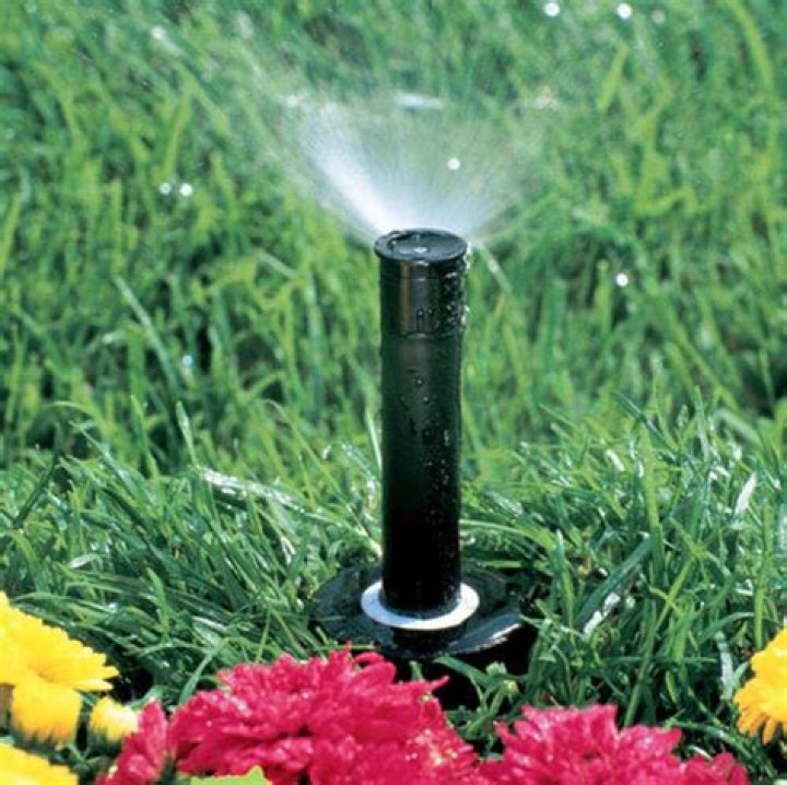 rain bird sprinkler head