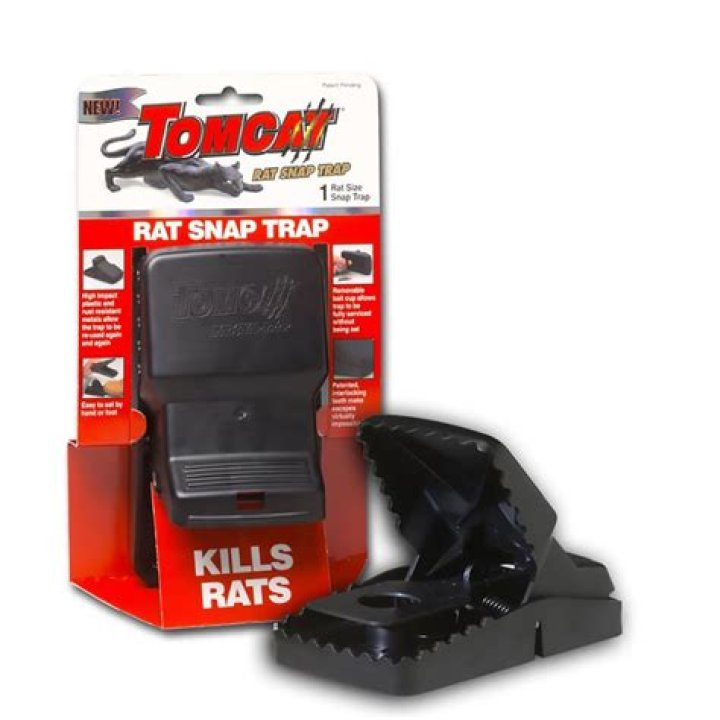 rat traps lowes