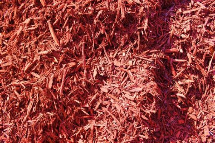 red mulch menards