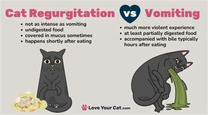 regurgitation vs vomiting