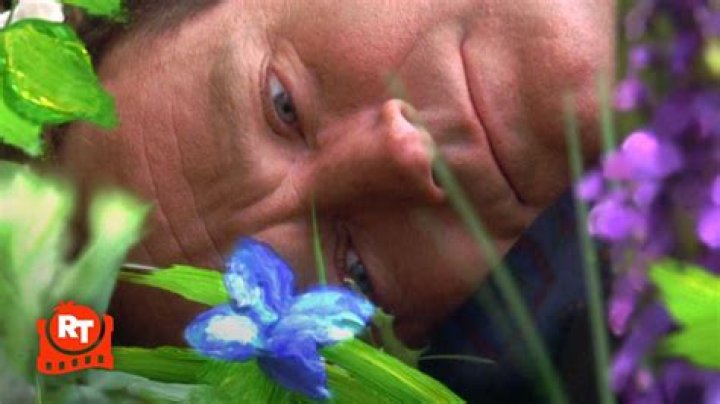 robin williams movie about heaven