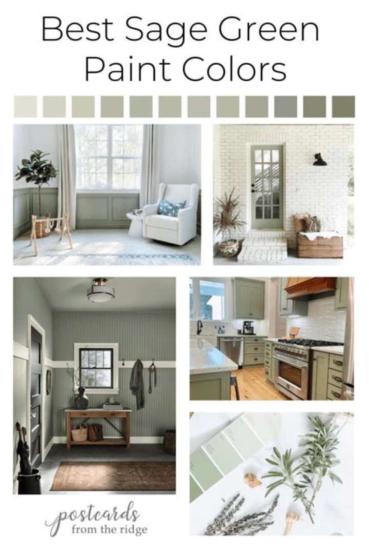 sage green wall paint