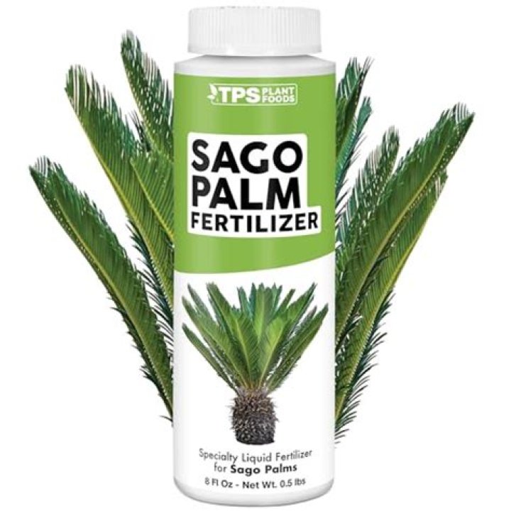 sago palm fertilizer