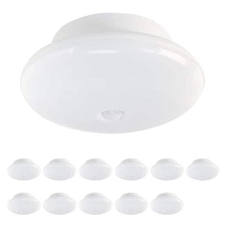 screw in light fixture
