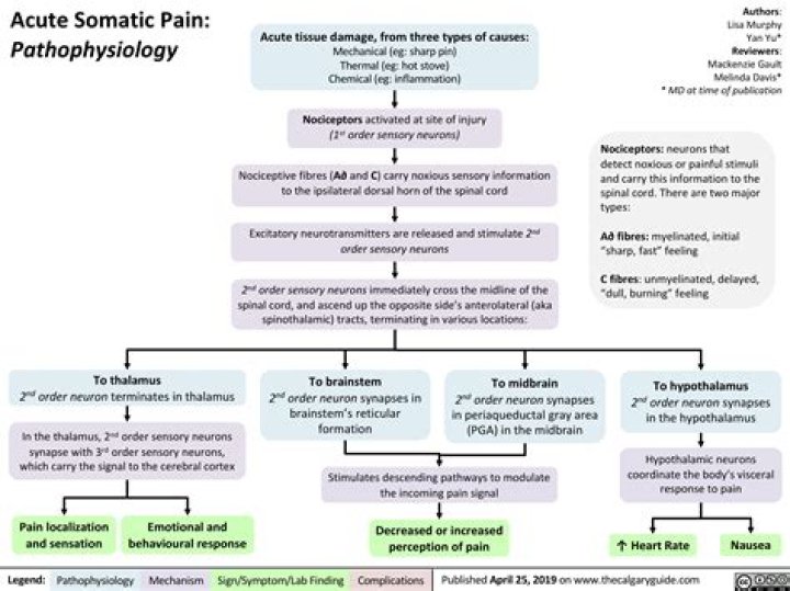 somatic pain definition