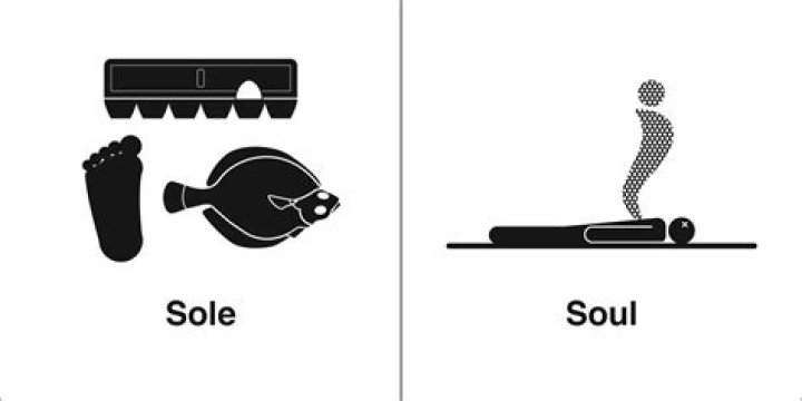 soul vs sole
