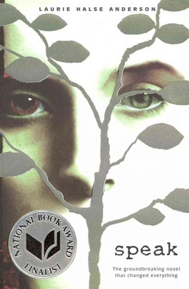 speak book summary
