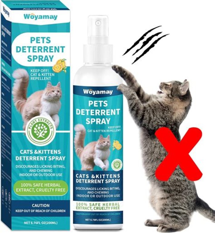 spray to keep cats off furniture