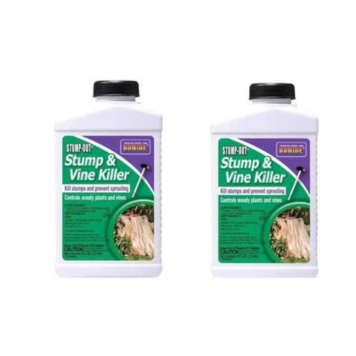 stump killer lowes