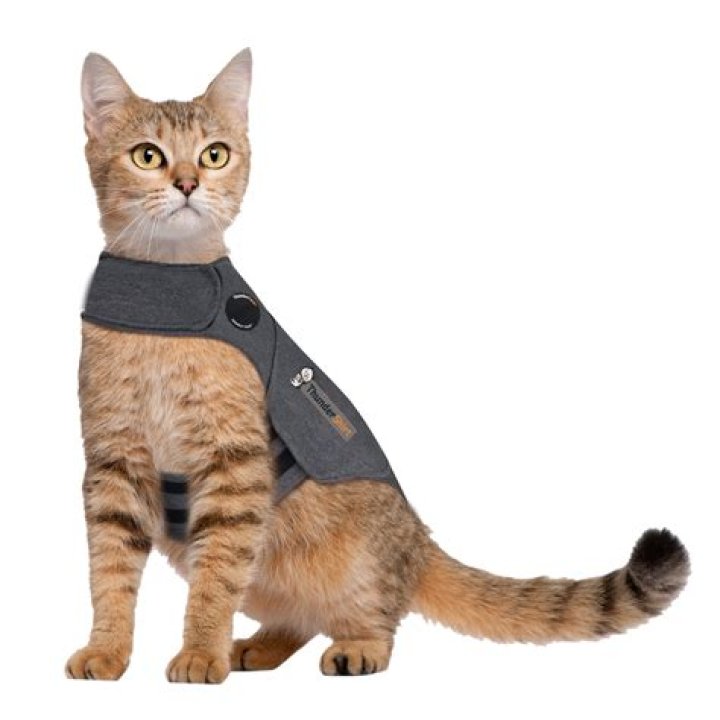 thunder shirts for cats