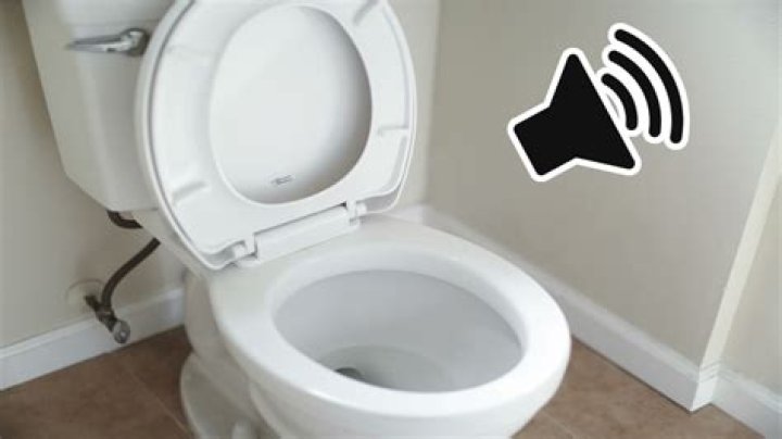 toilet making noise