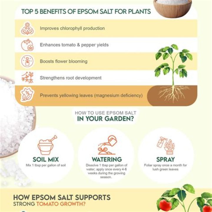 what does epsom salt do for plants