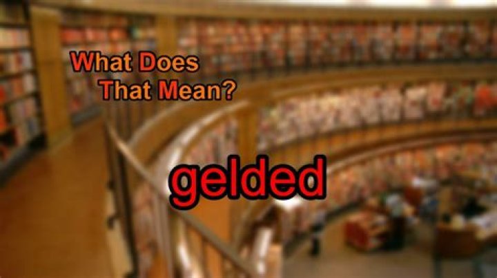 what does gelded mean