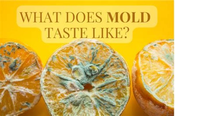 what does mold taste like