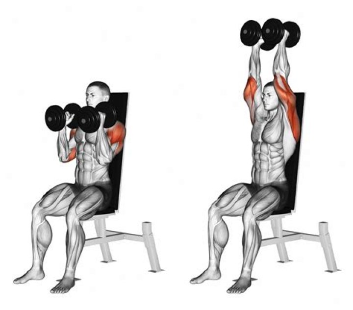 what does shoulder press work