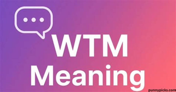 what does wtm mean in texting