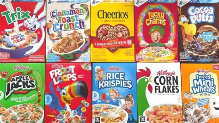 what is cereal