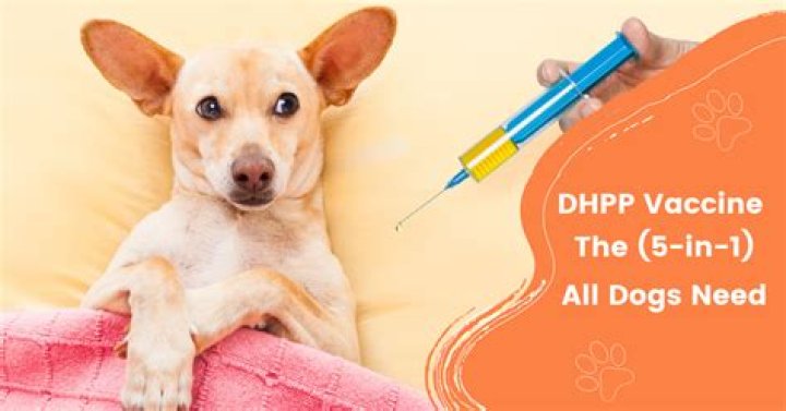 what is dhlpp vaccine for dogs