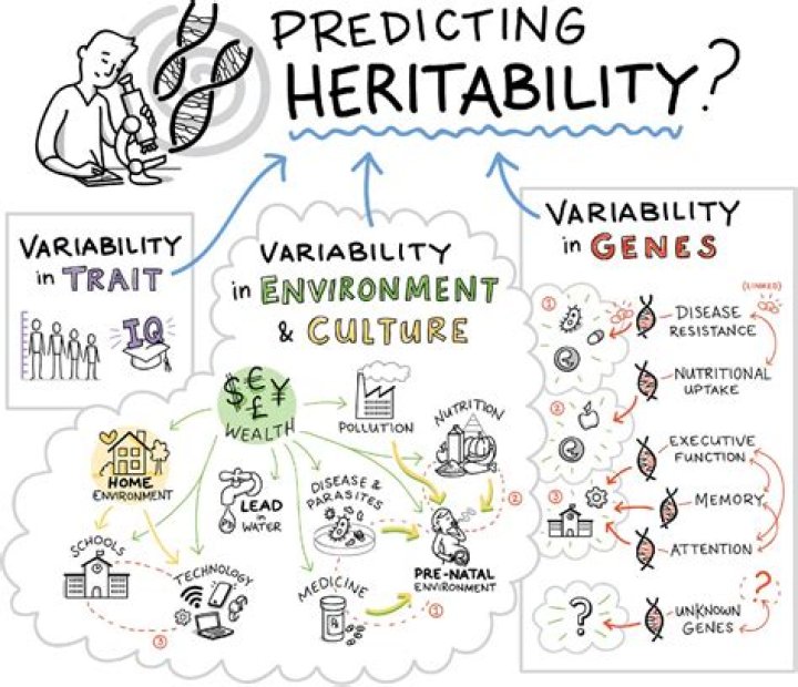 what is heritability