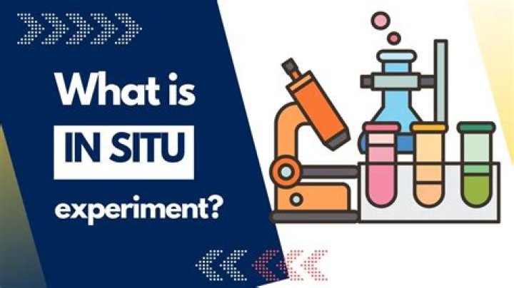 what is in situ