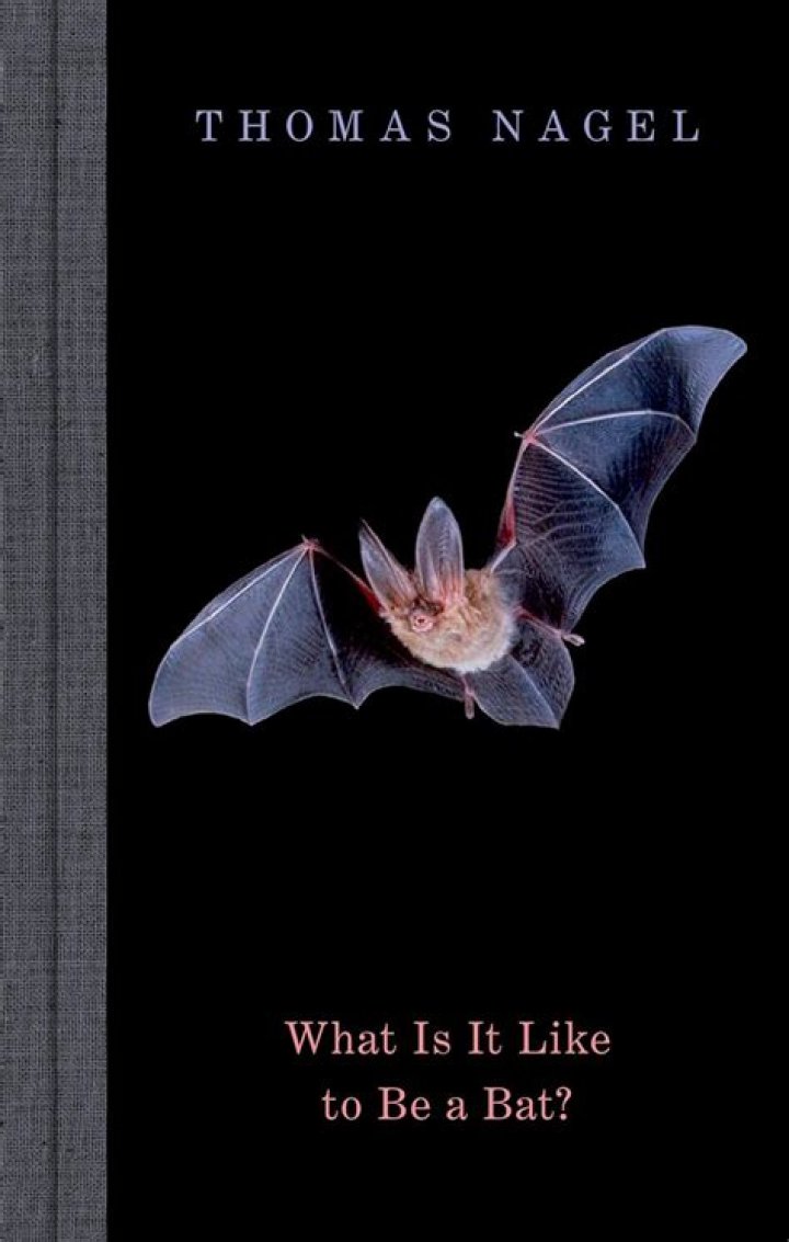 what is it like to be a bat