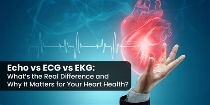 what is the difference between an ekg and an ecg