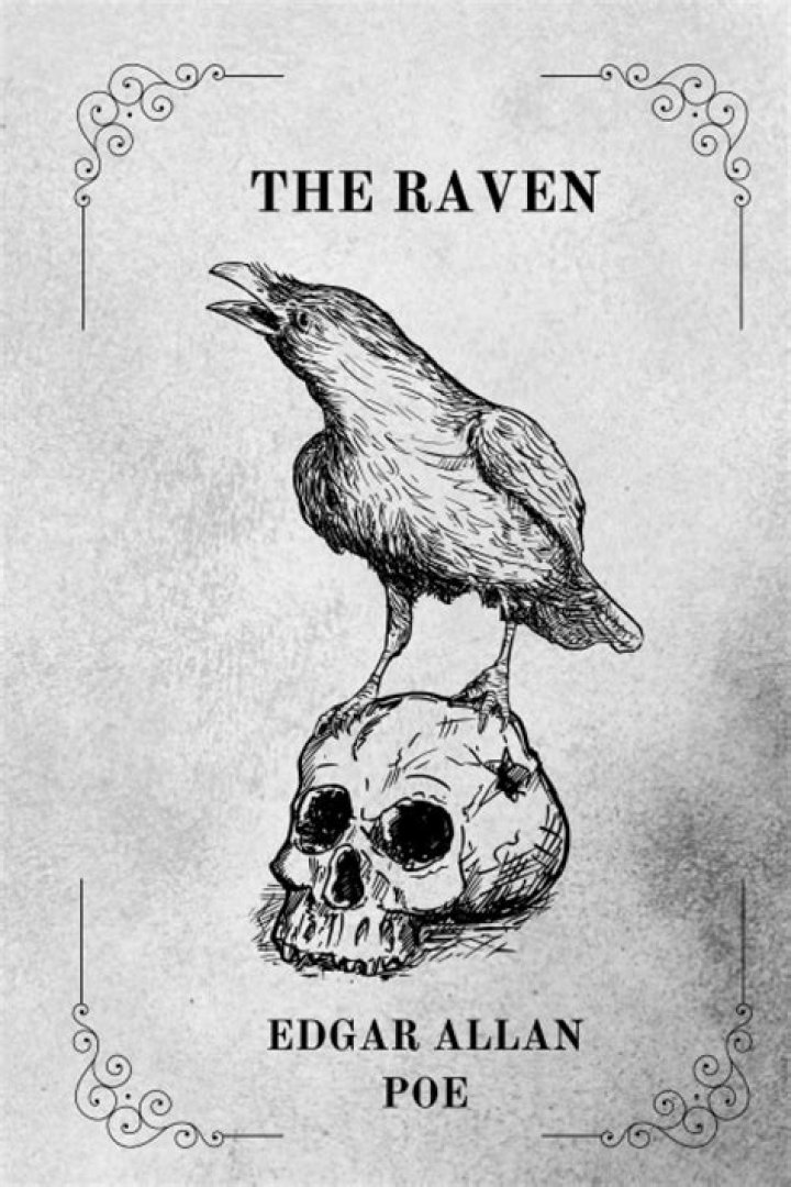 what is the raven about
