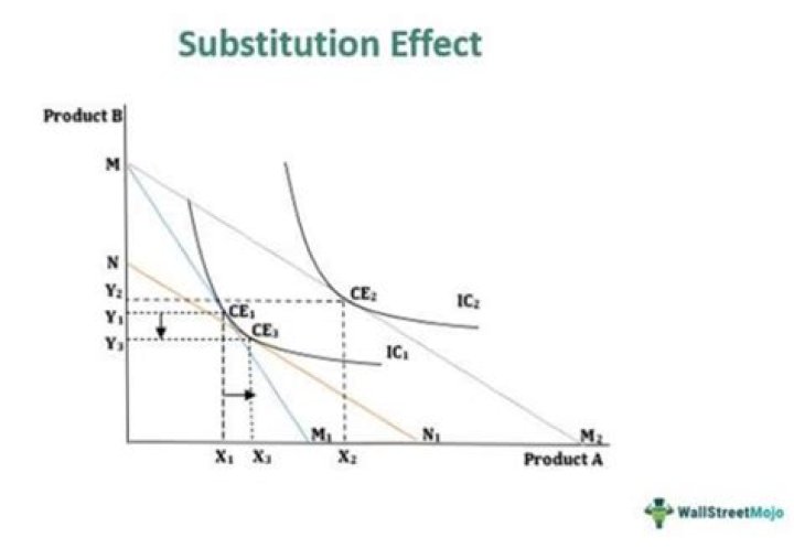 what is the substitution effect