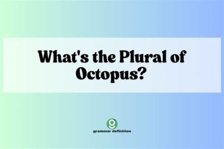 what’s the plural of octopus