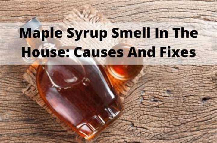 What would cause a sweet smell in house? check this out | maple syrup smell in house