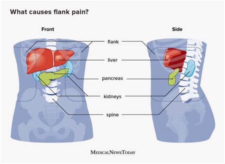 where is the flank located