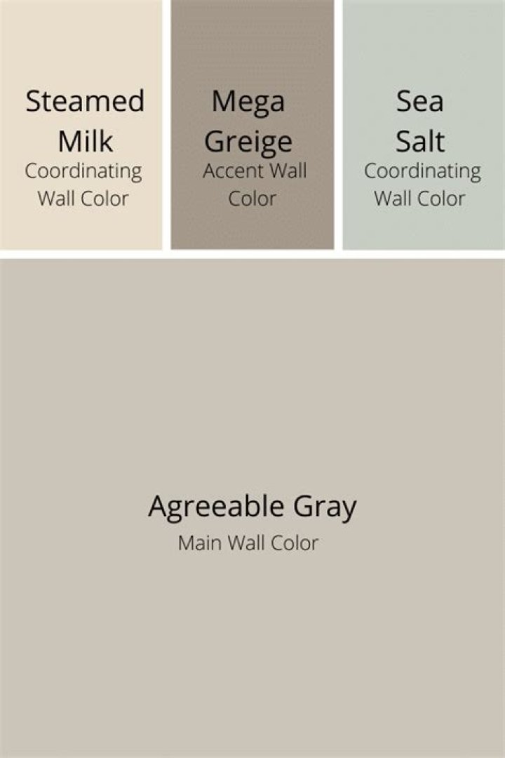 whole house agreeable gray color scheme