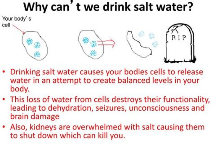 why cant you drink salt water
